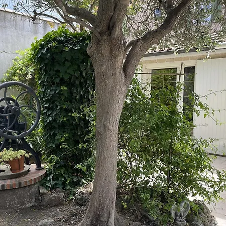 - 5mins A Pied Des Plages - Maisonette Avec Jardin, 4p, Au Calme Absolu Ferienhaus *